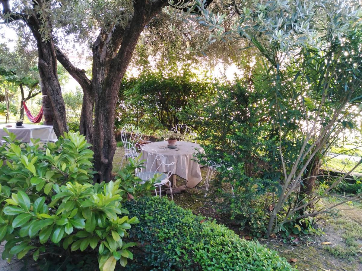 Casa Irene Bed and Breakfast Torri di Quartesolo Buitenkant foto